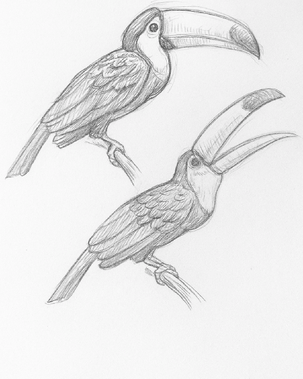 entalhe em madeira curso online - cogumelo vazado - Evandro Pires