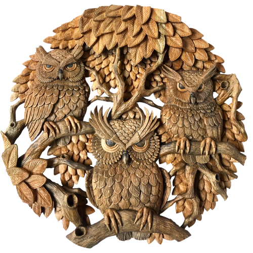 coruja-PNG.png